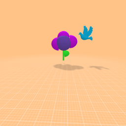 bird