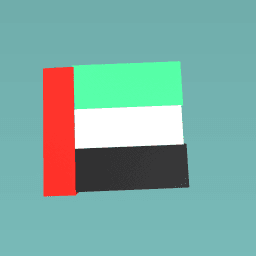 UAE FLAG