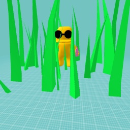 Duck man