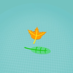 Leaves