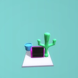 Tv and cactus