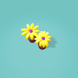 2 flowers