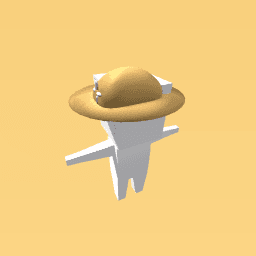 sun hat :3