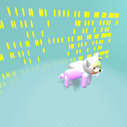 How  to your cat   in space