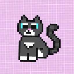Kitty cat
