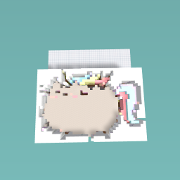 Pusheen cat