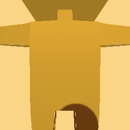 new costume