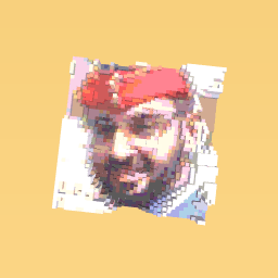 Sheick Mohamed Zayed