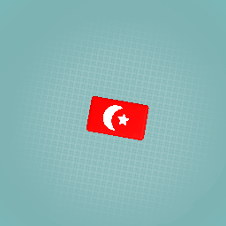 Turkeys flag