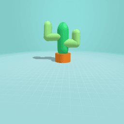 cactus/a plant
