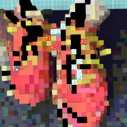 Shoe