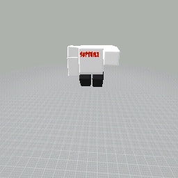Supreme Shirt