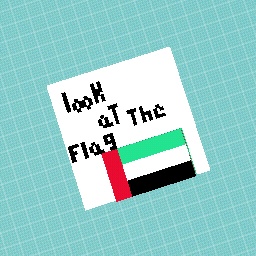 ANYONE KNOW THE FLAG NAME???