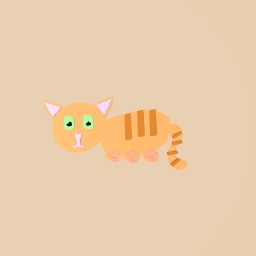 Ginger cat