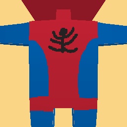 new costume