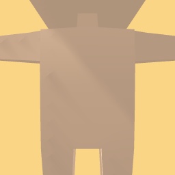 new costume