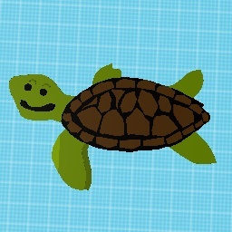 Turtle