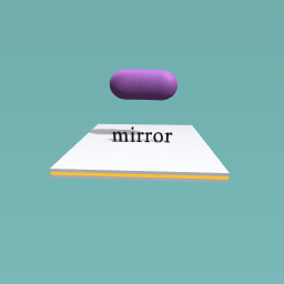 the mirror