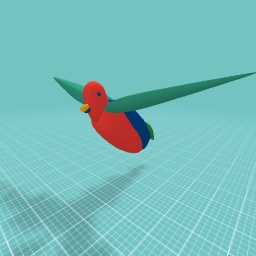king parrot ~ pro training