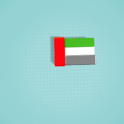 U.A.E FLAG MATTSUN