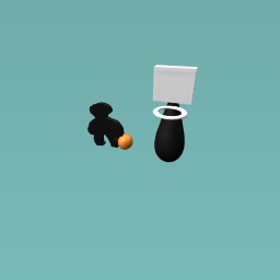 play basketball is my goal