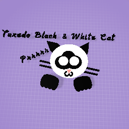 Tuxedo Black & White Cat
