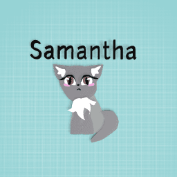 One of my kittens samantha (i have 4 kittens) :)