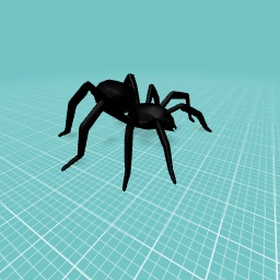 Adorable spider