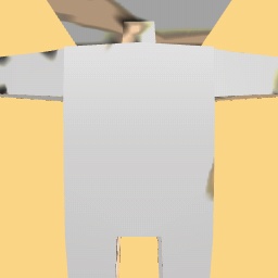 new costume