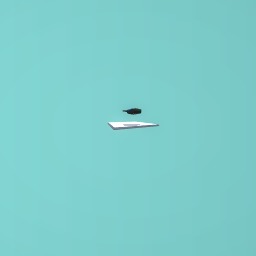 Black panthers vibraniam ship