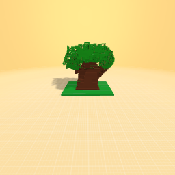 The big old tree