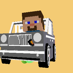 Auto steve