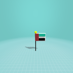 UAE flag💖