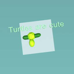 Turtles ARE CUTE !!!
