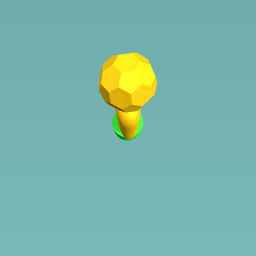 the fifa world trophy!