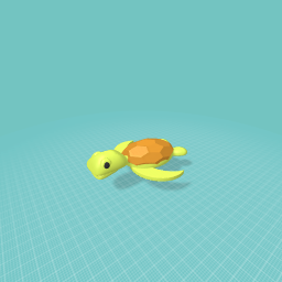 A Turtle!