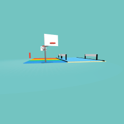 expensive half court basketball court