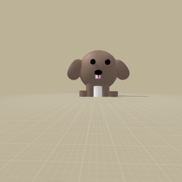 My dog