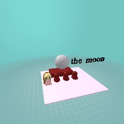 i made it to the moon