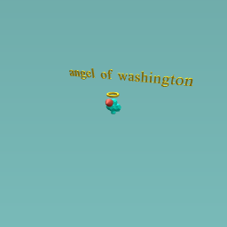 the angel of washington