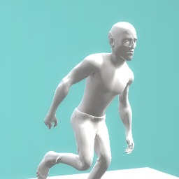 my body gard