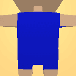 Blue shirt for a thing :3