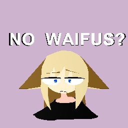 No Waifus?