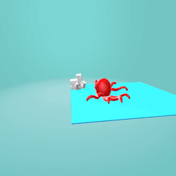 Octopus!