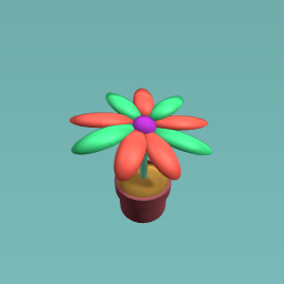christmas flower