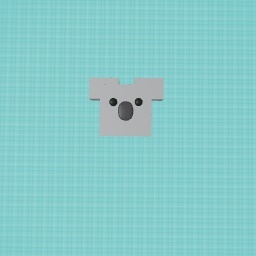 Koala head