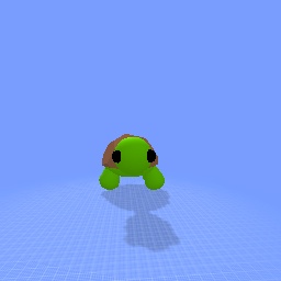 A cute little turtle