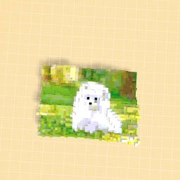 Cute white pup