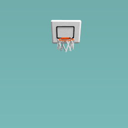The basketball hoop hanging on my closet door