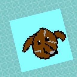 My dog